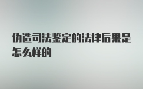 伪造司法鉴定的法律后果是怎么样的