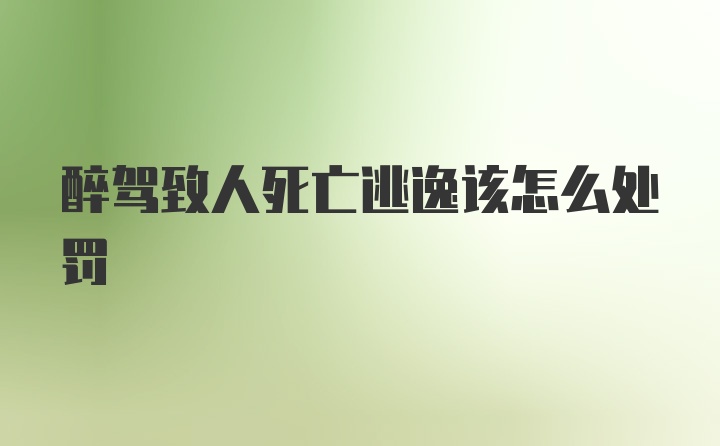 醉驾致人死亡逃逸该怎么处罚