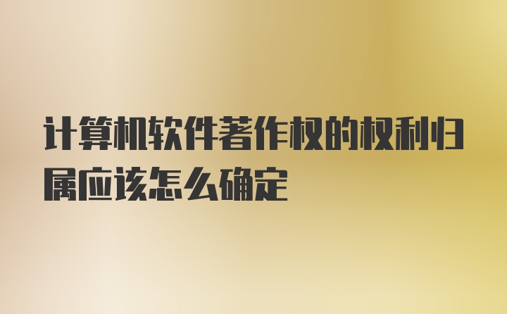 计算机软件著作权的权利归属应该怎么确定