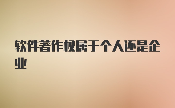 软件著作权属于个人还是企业