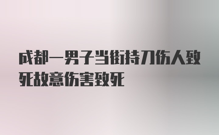 成都一男子当街持刀伤人致死故意伤害致死