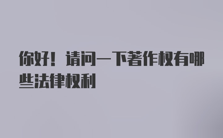 你好！请问一下著作权有哪些法律权利