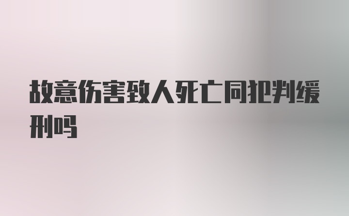 故意伤害致人死亡同犯判缓刑吗