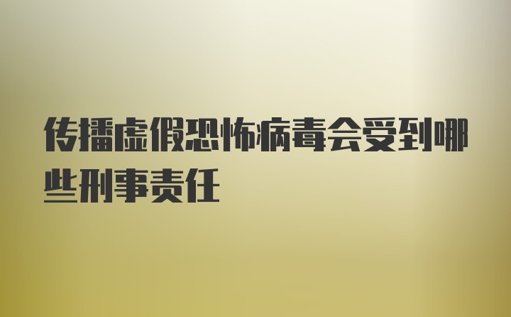 传播虚假恐怖病毒会受到哪些刑事责任