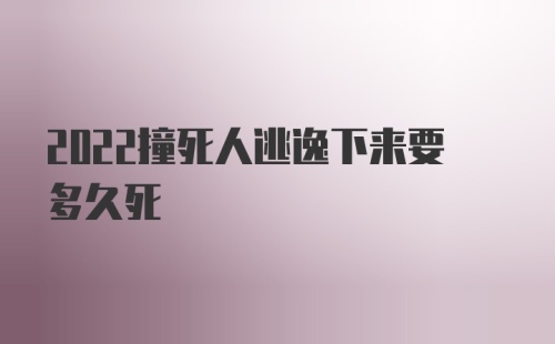 2022撞死人逃逸下来要多久死