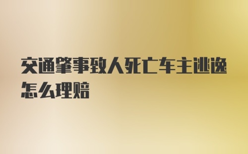 交通肇事致人死亡车主逃逸怎么理赔