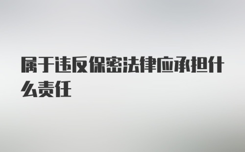 属于违反保密法律应承担什么责任