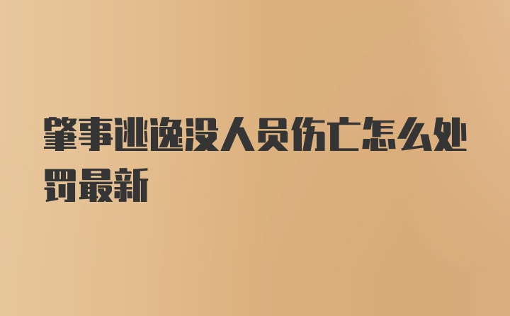 肇事逃逸没人员伤亡怎么处罚最新