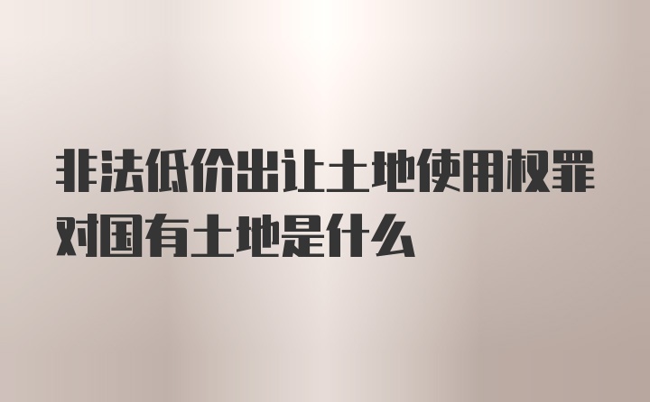 非法低价出让土地使用权罪对国有土地是什么