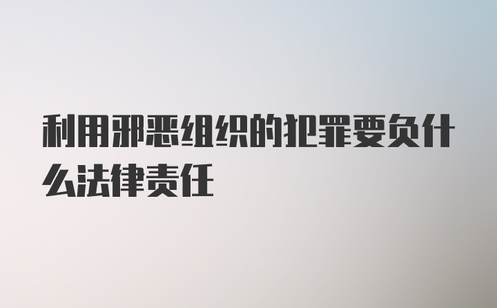 利用邪恶组织的犯罪要负什么法律责任