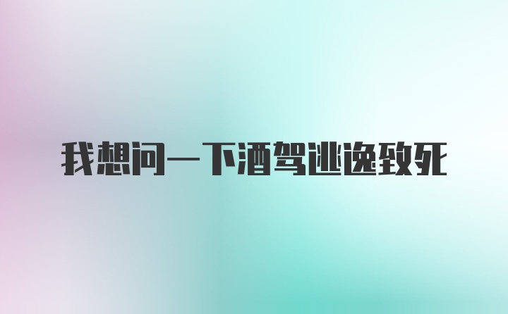 我想问一下酒驾逃逸致死