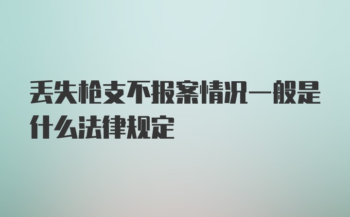 丢失枪支不报案情况一般是什么法律规定