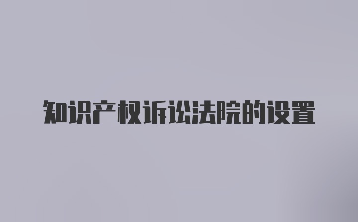 知识产权诉讼法院的设置