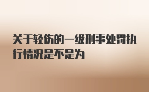 关于轻伤的一级刑事处罚执行情况是不是为