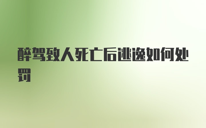 醉驾致人死亡后逃逸如何处罚