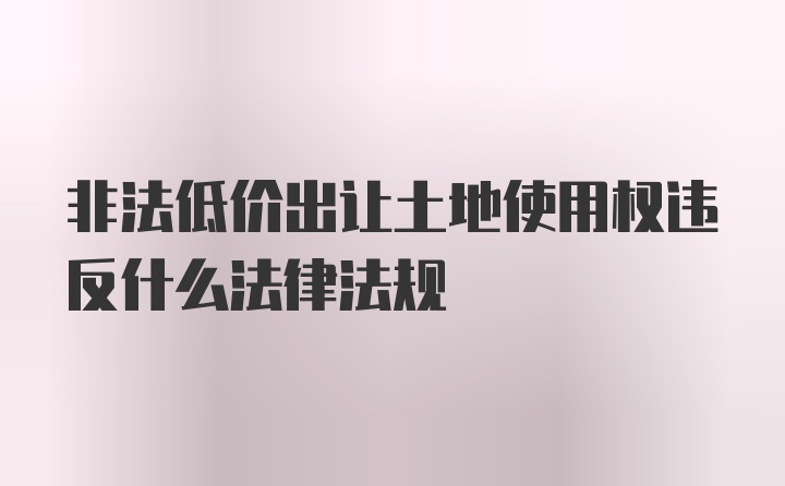 非法低价出让土地使用权违反什么法律法规