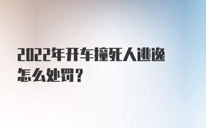 2022年开车撞死人逃逸怎么处罚？