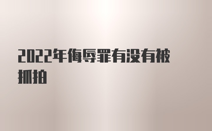 2022年侮辱罪有没有被抓拍