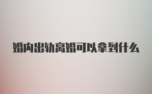 婚内出轨离婚可以拿到什么