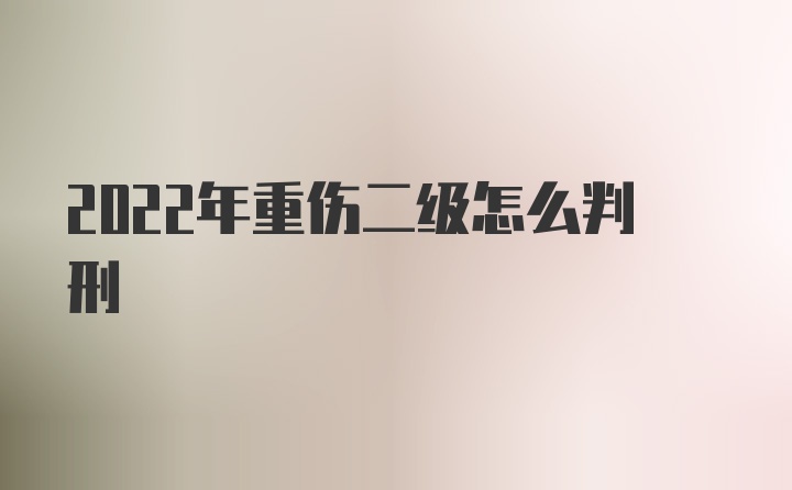 2022年重伤二级怎么判刑