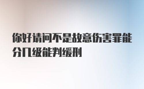 你好请问不是故意伤害罪能分几级能判缓刑