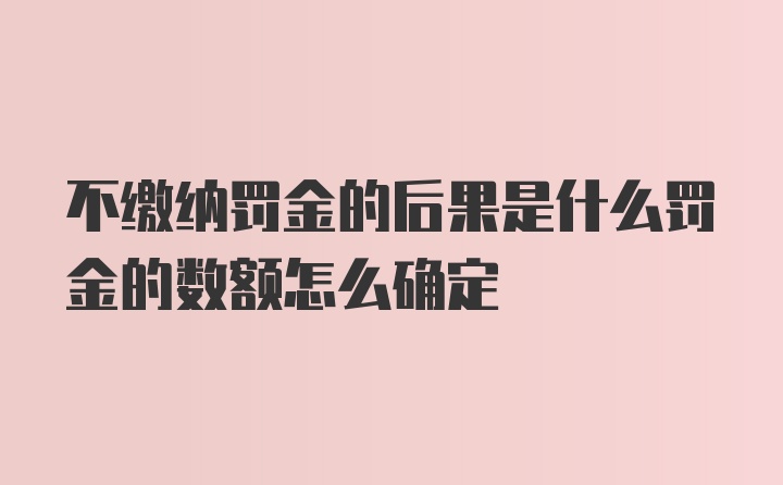 不缴纳罚金的后果是什么罚金的数额怎么确定