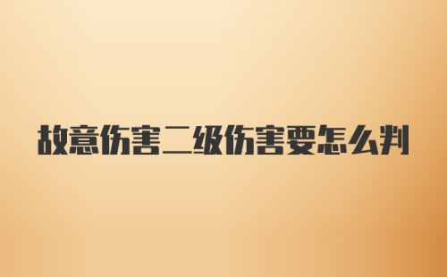 故意伤害二级伤害要怎么判