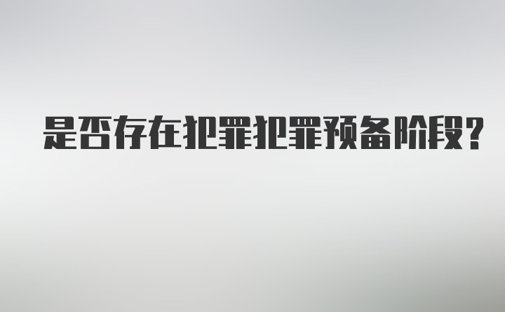 是否存在犯罪犯罪预备阶段？