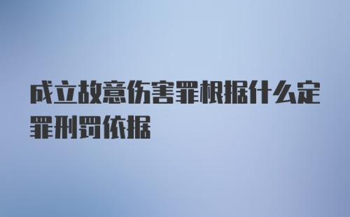 成立故意伤害罪根据什么定罪刑罚依据