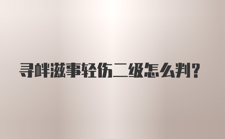 寻衅滋事轻伤二级怎么判？