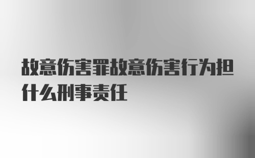 故意伤害罪故意伤害行为担什么刑事责任