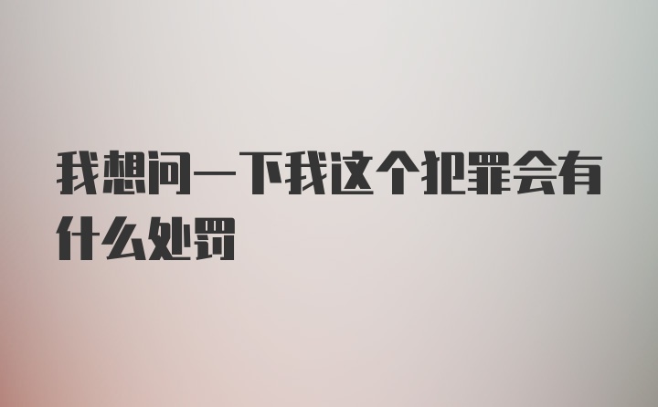 我想问一下我这个犯罪会有什么处罚