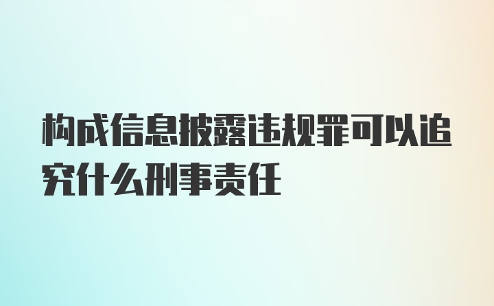 构成信息披露违规罪可以追究什么刑事责任