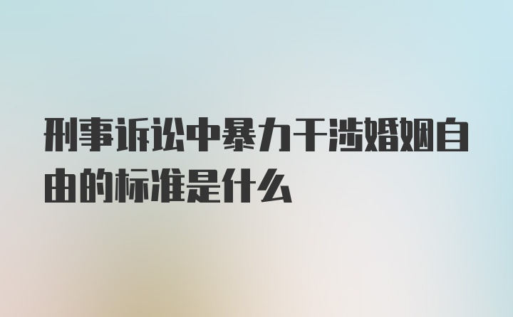 刑事诉讼中暴力干涉婚姻自由的标准是什么