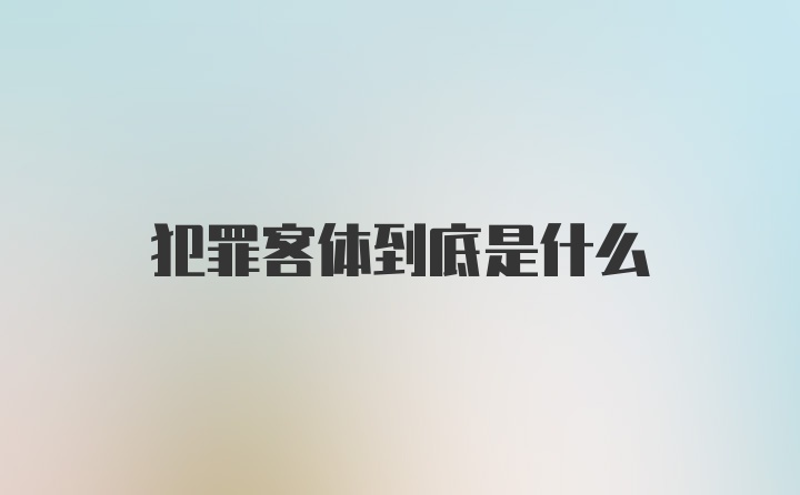 犯罪客体到底是什么