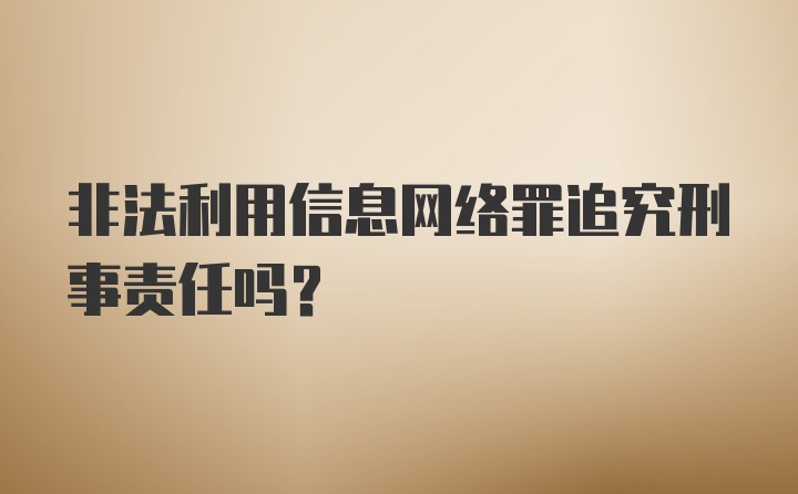 非法利用信息网络罪追究刑事责任吗？