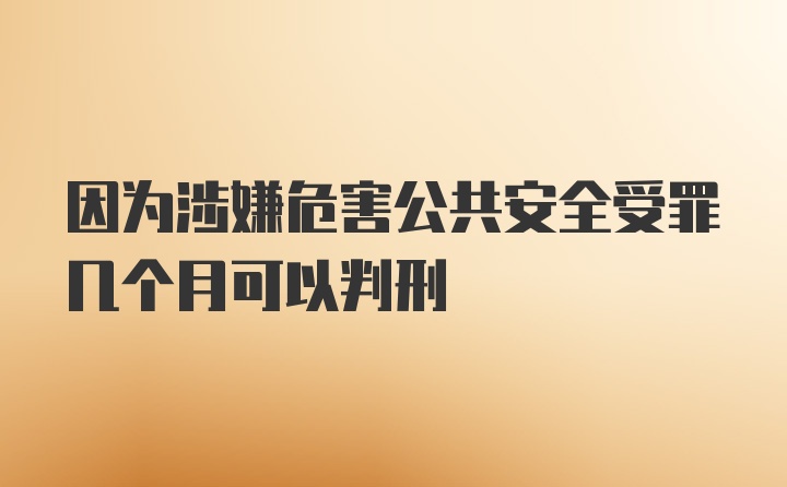 因为涉嫌危害公共安全受罪几个月可以判刑