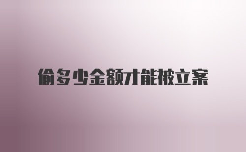 偷多少金额才能被立案
