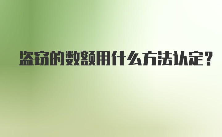 盗窃的数额用什么方法认定？