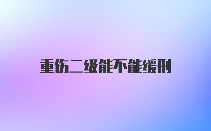 重伤二级能不能缓刑