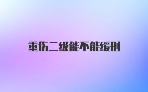 重伤二级能不能缓刑