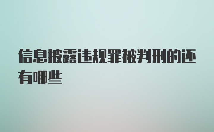 信息披露违规罪被判刑的还有哪些