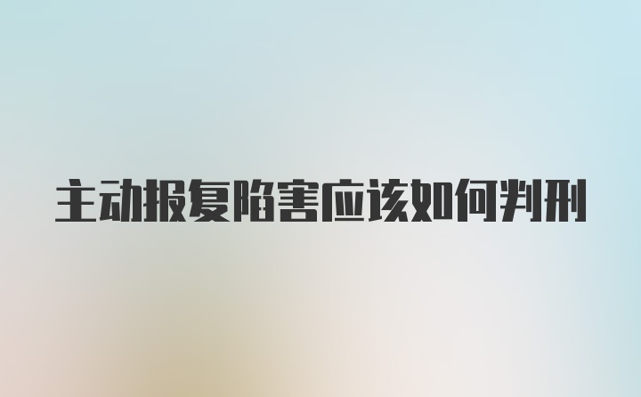 主动报复陷害应该如何判刑