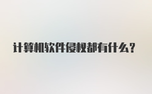 计算机软件侵权都有什么？