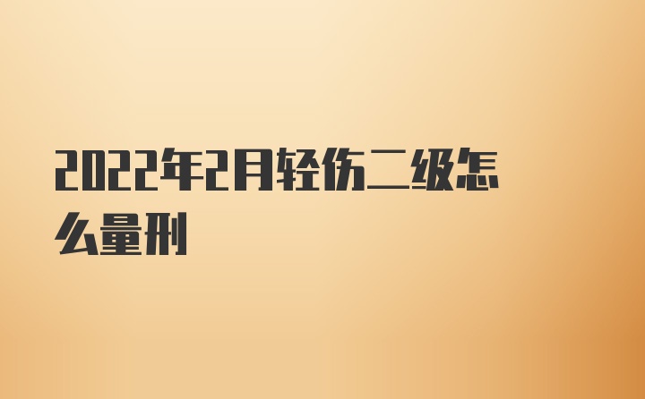 2022年2月轻伤二级怎么量刑