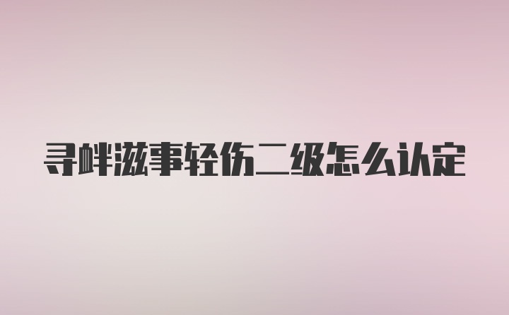 寻衅滋事轻伤二级怎么认定