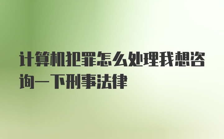 计算机犯罪怎么处理我想咨询一下刑事法律