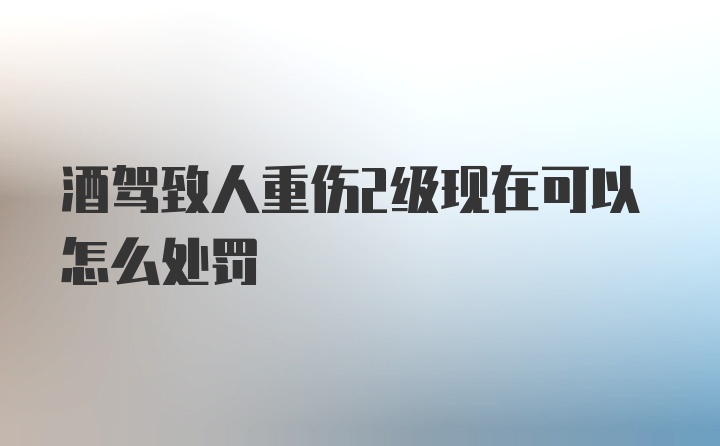 酒驾致人重伤2级现在可以怎么处罚