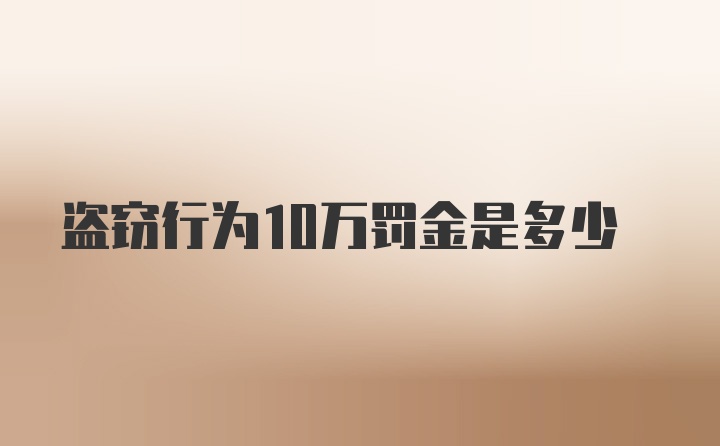 盗窃行为10万罚金是多少