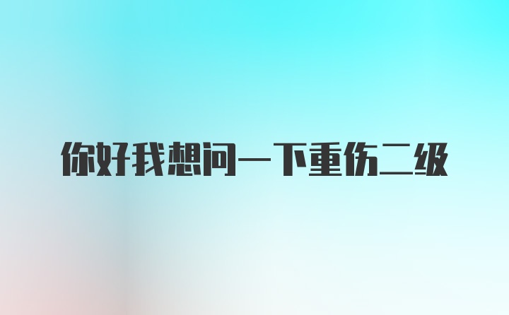 你好我想问一下重伤二级